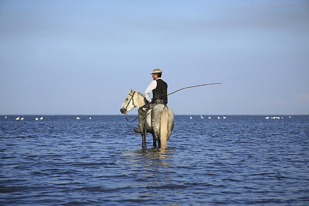 Balade a cheval en Camargue