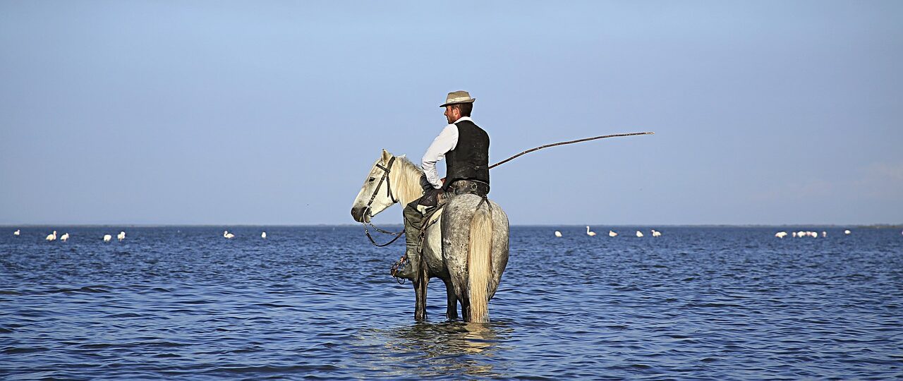 Balade a cheval en Camargue