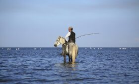 Balade a cheval en Camargue