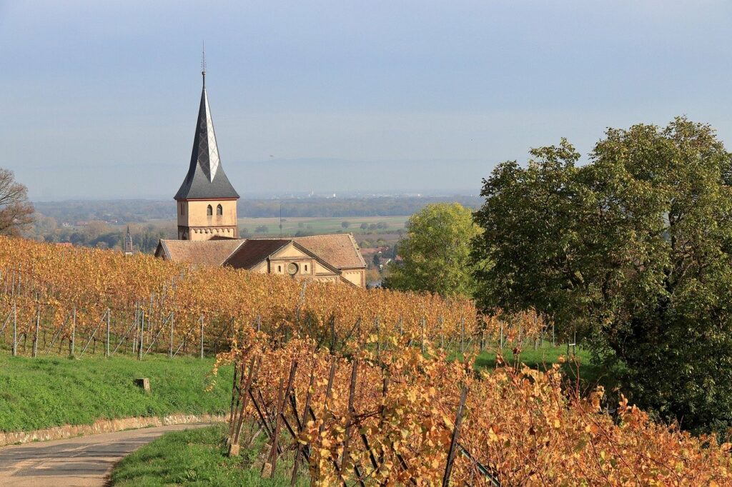 La route des vins en Alsace