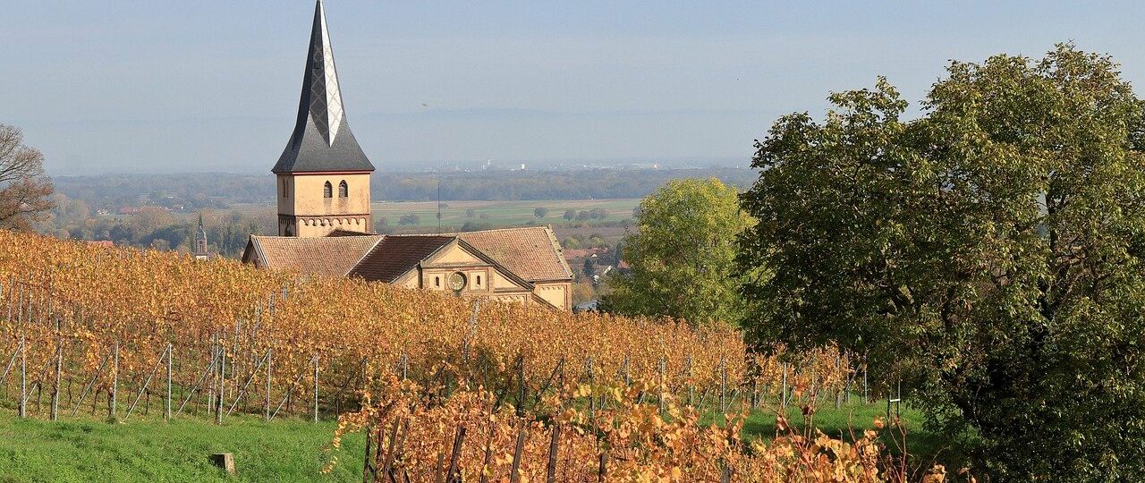 La route des vins en Alsace