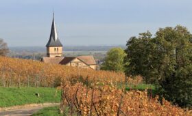 La route des vins en Alsace