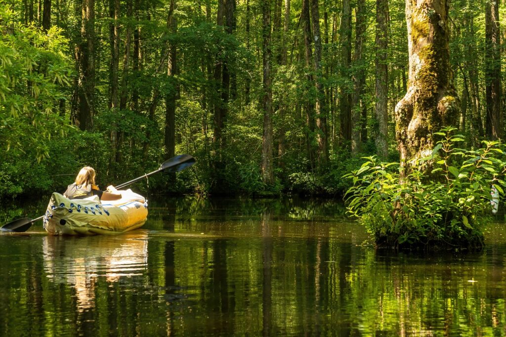 Le marais poitevin en kayak