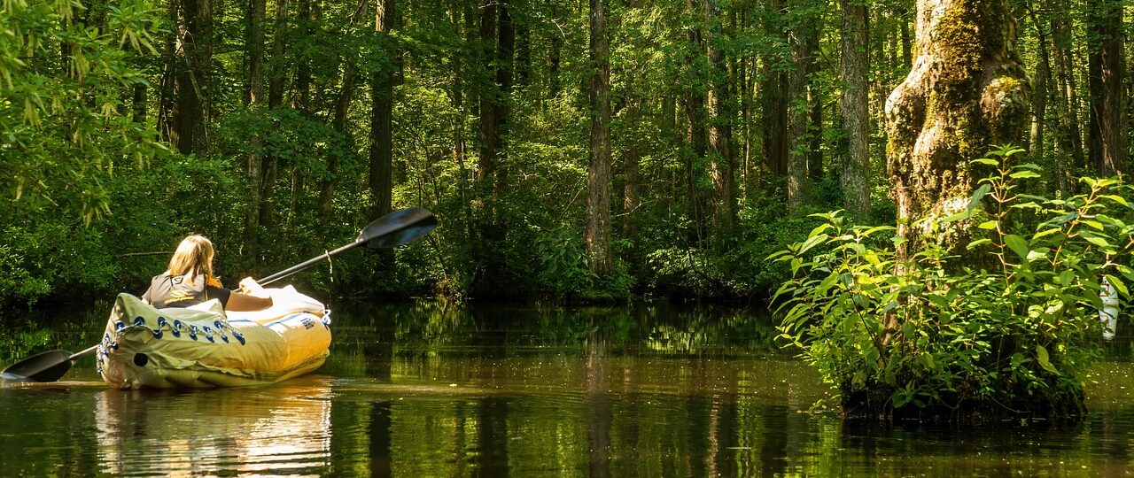 Le marais poitevin en kayak