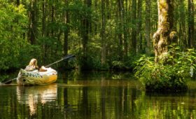 Le marais poitevin en kayak